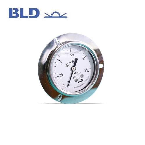 布莱迪(BLD)布莱迪压力表YTHN Φ100不锈钢防腐耐震充油型/轴向安装型/带边