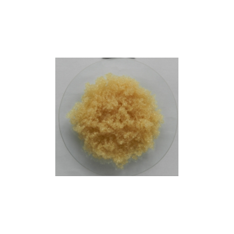 争光（Hydrolite）电子级、高纯水制备离子ZGER8420交换树脂