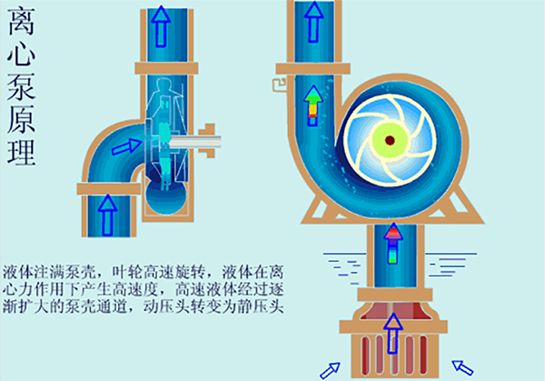 格兰富泵，南方泵，青岛水品汇